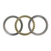81236M ZEN Cylindrical Roller Thrust Bearing ...
