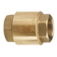 3inch BSPP York Non Return Check Valve