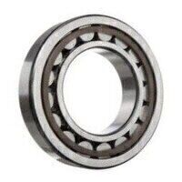 CRL10 (LRJ1.1/4) 1.1/4inch Budget Cylindrical Roller Bearing 31.75mm x 69.85mm x 17.4625mm