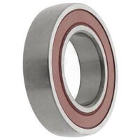 CS202-2RS ZEN Bearing Insert