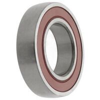 CS205-2RS ZEN Bearing Insert