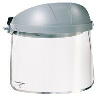 Clearways Polycarbonate Clear Visor Clear 
