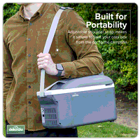 Sealey DL166 Dellonda 8L Portable Cool Box 12V