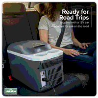 Sealey DL166 Dellonda 8L Portable Cool Box 12V