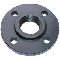Forged Steel Flanges