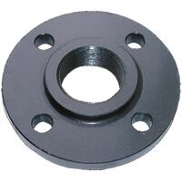 Flanges & Flange Gaskets