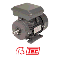 TEC Electric Motor 0.25kW 1ph Cap/Cap 24...