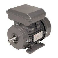TEC Electric Motor 2.2kW 1ph Cap/Cap 110V 4 P...