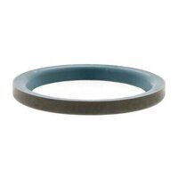GR6X10X2 INA Nitrile Rubber Single Lip Metal ...