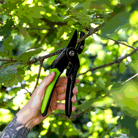 Sealey GTSG005 Anvil Secateurs with Soft Grip Handle, 3-Stage Safety Lock  Carbon Steel Blade, 220mm