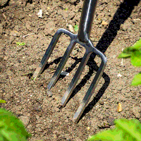 Sealey GTWH016 Premier Digging Fork with Ash Handle  Stainless Steel Tines