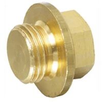 1/4inch BSPP Hex Head Brass Plug