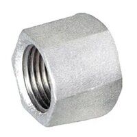 Stainless Steel Hexagon Blanking Cap