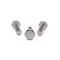 M12 X 25 Stainless A4-70 Hexagon Head Set Scr...