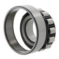 N304 ECP SKF Cylindrical Roller  20mm x 52mm ...
