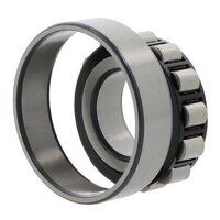 N316 ECPC3 SKF Cylindrical Roller  80mm x 170mm x 39mm