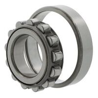 N405W NSK Cylindrical Roller Bearing 25mm x 8...