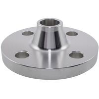 10inch NB PN10 Type 11 Raised Face Weld Neck ...