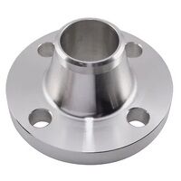 14inch PN16 Type 11 Raised Face Weld Neck Fla...