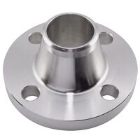 2.1/2inch NB SCH10S PN10/16 Type 11 Raised Fa...