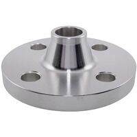 1.1/4inch NB SCH40S PN10/16/25/40 Type 11 Rai...