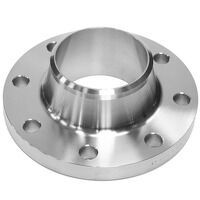 5inch NB PN6 Type 11 Raised Face Weld Neck Fl...