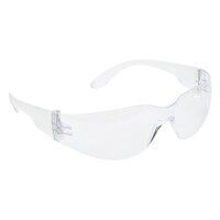 Portwest Wrap Around Spectacles (Clear / L)