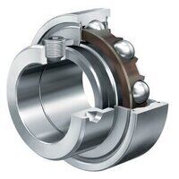 RAE15NPP 15mm Bore INA Bearing Insert