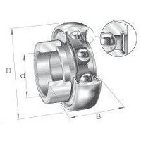 RAE20NPPB 20mm Bore INA Bearing Insert
