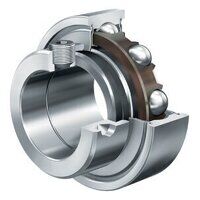 RALE25NPP 25mm Bore INA Bearing Insert