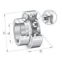 RALE30NPP 30mm Bore INA Bearing Insert
