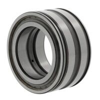 SL04180DPP�INA Cylindrical Roller Bearing 180...
