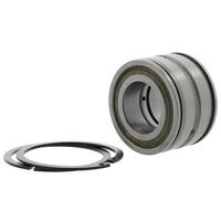 SL045018PP2NR INA Sealed Cylindrical Roller B...