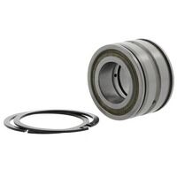 SL045024DPP2NR INA Cylindrical Roller Bearin...