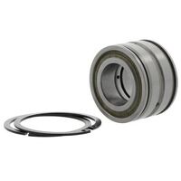 SL045030DPP2NR INA Cylindrical Roller Bearing 150mm x 225mm x 100mm SL045030-D-PP-2NR
