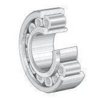 SL192319 INA Cylindrical Roller Bearing 95mm ...