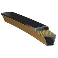 SPCP Predator V Belts (SPC)