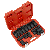 Sealey SX045 Oxygen  Diesel Injector Window S...