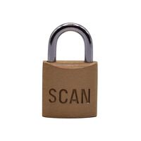 Scan Brass Padlock 20mm