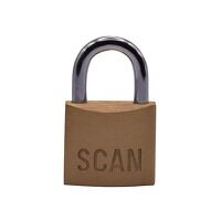 Scan Brass Padlock 30mm