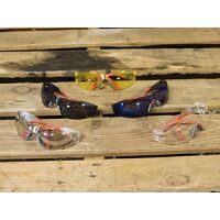 Scan Flexi Spectacle Blue