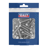 Sealey S625S M6x25 1 Pitch A2 Stainless Steel...