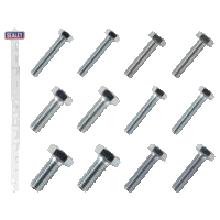 Sealey SCREWSET M5-M10 Grade 8.8 BZP Assortme...
