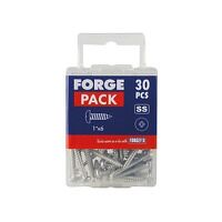 Self-Tapping Screw Pozi Compatible Pan A2 SS 1in x 6 ForgePack 30