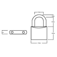 Squire LN3 Lion Brass Padlock 30mm