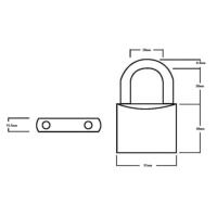 Squire LN5T Lion Brass Padlocks 5-Pin 50mm Twin Pack