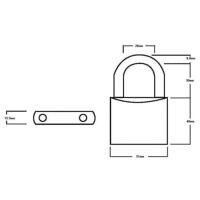 Squire LN5 Lion Brass Padlock 5-Pin 50mm