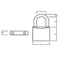 Squire LN60 Lion Range Brass Padlock 60mm
