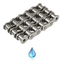 Stainless Steel Triplex Chain and Links