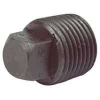 3/4inch BSPT Malleable Iron Standard Plain Pl...
